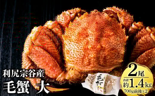 【2025年4月以降発送】 利尻島産 毛ガニ 大サイズ （700g前後）2尾＜利尻漁業協同組合＞