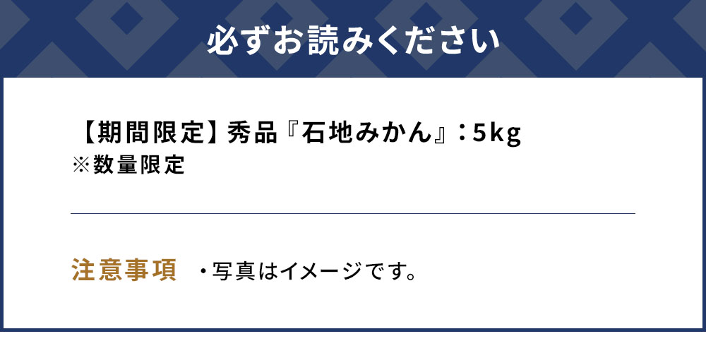 【先行予約】秀品 石地みかん 5kg  ミカン オレンジ 蜜柑 フルーツ 旬 果物 くだもの 大分県産 九州産 津久見市 国産【tsu002801】