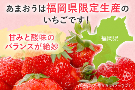 産地直送厳選あまおう 4パックセット（G,2L,2A規格以上）【数量限定】いちご フルーツ 果物 あまおう 約270g×4パック 福岡 苺 イチゴ 【発送時期2025年1月上旬～2025年月4月上旬】