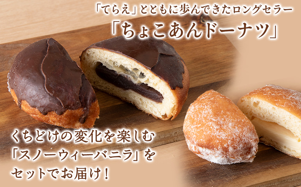 プレミアムフローズンドーナツ2種10個【チョコあんドーナツ×5、スノーウィーバニラ×5】