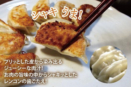 【お試しサイズ】蓮根肉餃子のおばけん【20粒】【野菜 ギョーザ れんこん しゃきしゃき おいしい 食べきり 茨城県 鹿嶋市】（KBU-19）