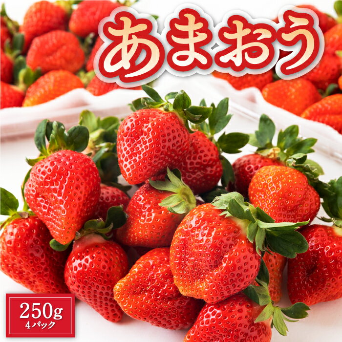 【ふるさと納税】Green's 「いちごの王様」目指す福岡県産あまおう 250g×4パック あまおう いちご イチゴ 苺 フルーツ 果物 冷蔵 送料無料 福岡県 うきは市 【2026年2月から2026年4月上旬～下旬お届け】
