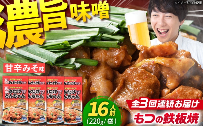 
                  【3回定期便】 岐阜県産豚もつの鉄板焼き「元祖みたけとんちゃん」甘辛みそ味 8袋（16人前） / モツ もつ 白もつ ホルモン / 御嵩町 / 藤よし [AVAA073]
                