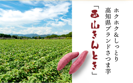 西山きんとき芋 5kg | 訳あり 新芋 さつまいも サツマイモ さつま芋 焼き芋 やきいも ヤキイモ 人気 野菜 不揃い 規格外 おやつ デザート秋 旬 生芋 ご家庭用 高知県 室戸市