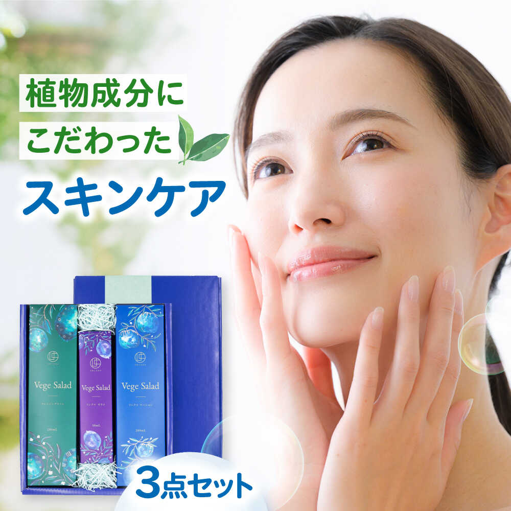 【ふるさと納税】うちこコスメ ベジサラダ エイジングケア＊1 3点セット ／ 内子コスメ ベジサラダ 化粧品 コスメ こすめ スキンケア 基礎化粧品 スキンケアセット スキンケア用品 美容 人気 おすすめ 愛媛県 内子町 送料無料 【昭和刷子株式会社】[BKAZ011] 45000 45000円