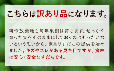 すだち 訳あり約2kg 一般財団法人さなごうち《9月中旬-11月上旬頃出荷》すだちすだちすだちすだち