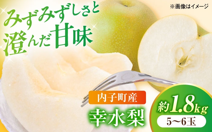 
                  【先行予約】幸水梨【5～6玉】＜2026年8月上旬から発送＞【北海道・沖縄配送不可】 ／ 梨 なし ナシ 和梨 果物 フルーツ 国産 産地直送【株式会社フジ・アグリフーズ】 [BKAY027]
                