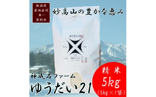 標高200mで育てた棚田米|令和7年・新潟県上越産・ゆうだい21精米5kg　白米  お米 こめ おすすめ ふるさと納税 新潟 新潟県産 にいがた 上越 上越産