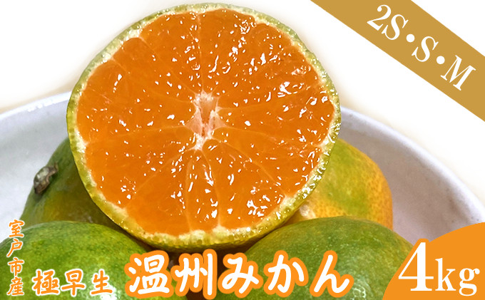 
            【先行予約】極早生温州みかん 4kg 数量限定 高知県室戸市産 ミカン 柑橘 フルーツ 果物 産地直送 農家直送  おすすめ 人気 果実 うんしゅう ジュース ゼリー デザート
          