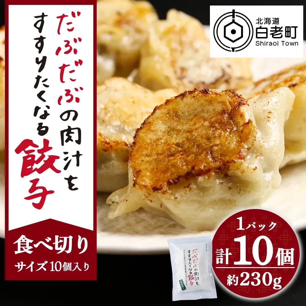 だぶだぶの肉汁をすすりたくなる餃子 10個（10個入×1パック） BE011