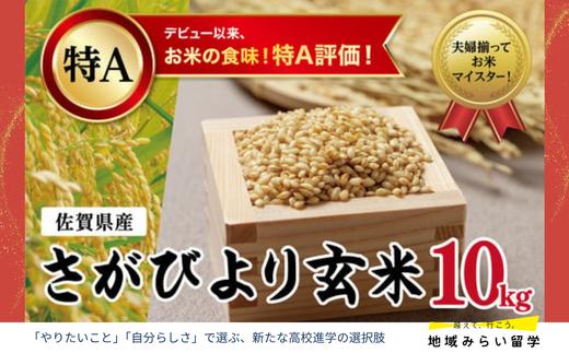 
            【大塚米穀】さがびより玄米10kg
          