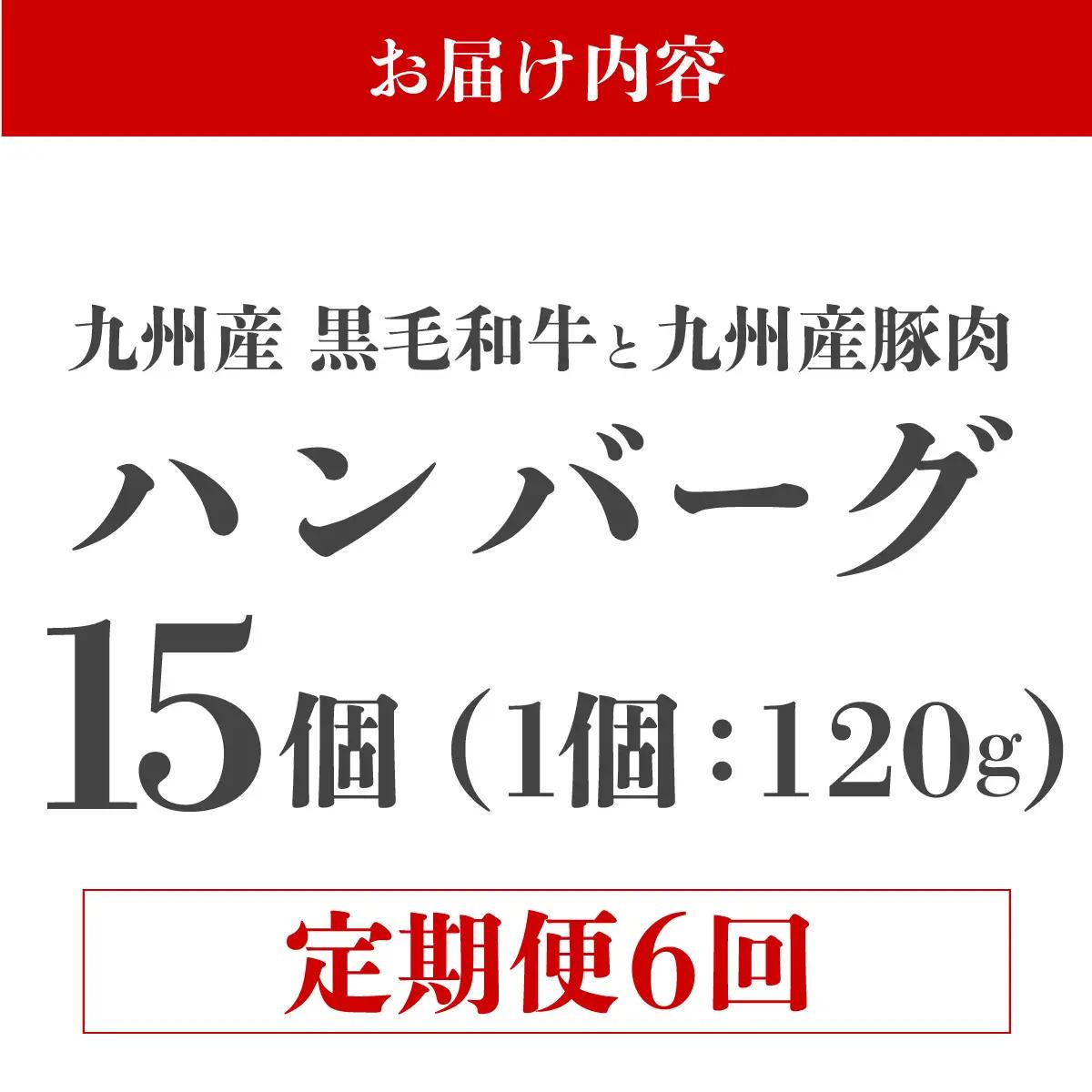 ＜定期便・全6回＞九州産黒毛和牛と九州産豚肉 ハンバーグ 15個セット 