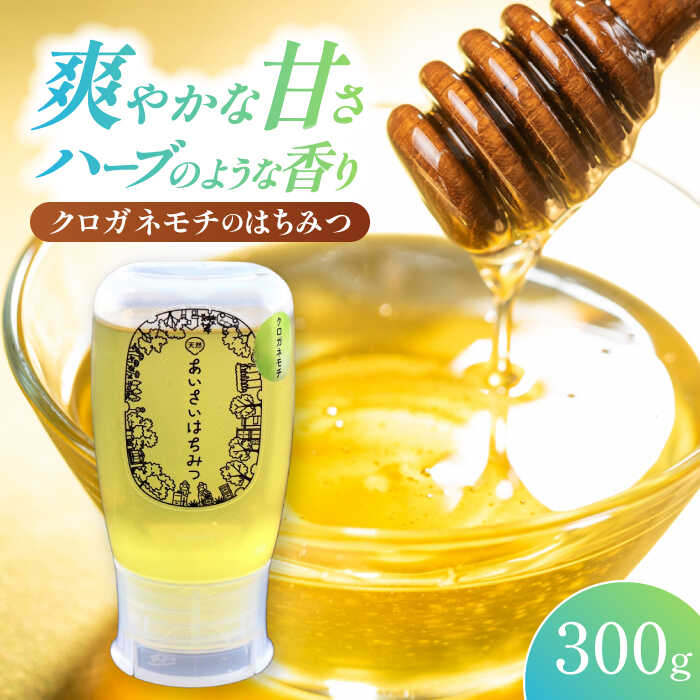 【ふるさと納税】あいさいはちみつ クロガネモチ 300g 蜂蜜 国産 チューブ 愛西市/あいさいはちみつ[AEBP001]