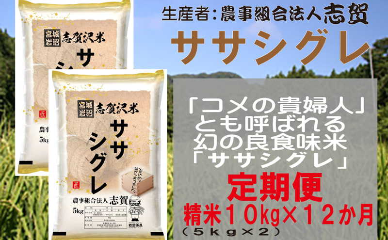 【12ヶ月定期便】宮城県岩沼市産 志賀沢米 ササシグレ 精米10kg(5kg×2）