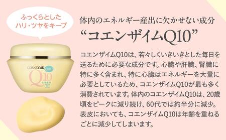 DHC Q10クリームII（100g） AKH0007