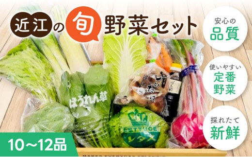 A51 季節の旬野菜セット 産地直送 旬野菜 野菜セット 季節 旬 春野菜 夏野菜 秋野菜 きのこ 葉物 果物 果菜 根菜 冷蔵 野菜室 ダイエット 食 栄養食 加工品 カット野菜 野菜セット やさいセット 野菜セット 産地直送 新鮮野菜 一般財団法人 愛の田園振興公社