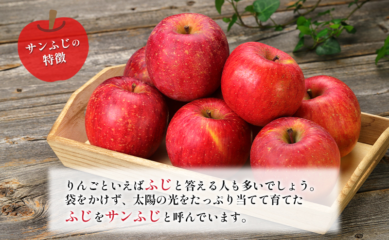訳あり りんご JA信州うえだ 合戦りんご サンふじ 約5kg（10玉～20玉） リンゴ 林檎 ふじ 果物 くだもの フルーツ 信州 長野 離乳食 訳アリ わけあり 傷