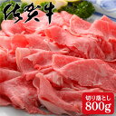 【ふるさと納税】たっぷり！佐賀牛の贅沢切り落とし800g N30-13