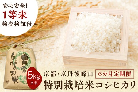 【6ヶ月定期便】2025年産 京都・京丹後峰山 特別栽培米コシヒカリ 5kg 【玄米】 1等米 検査済証付