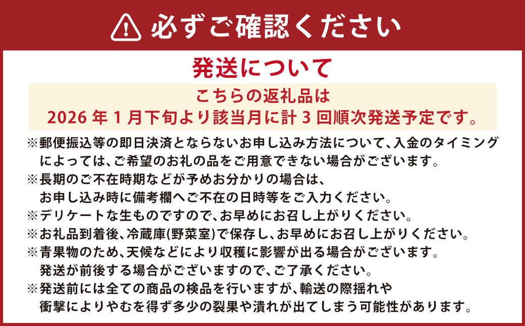 【3か月連続定期便】にべさんちの苺 熊本県産イチゴ食べ比べ定期便 (かおり野・桃薫・空音)
