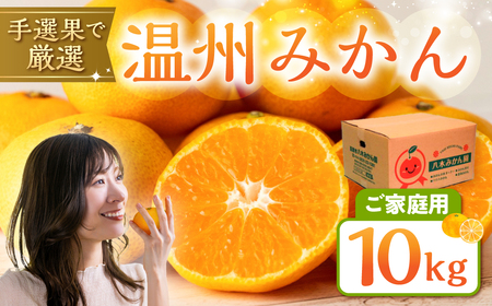  温州みかん 10 kg 訳あり 八木みかん園 農家直送