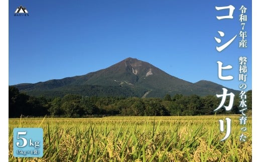 【先行予約】【令和7年産米】コシヒカリ5kg　磐梯町の名水で育ったコシヒカリ※令和8年2月上旬発送予定