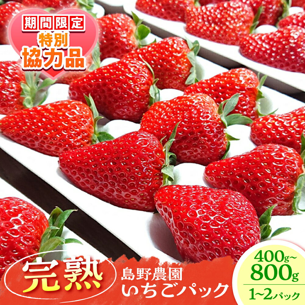 【ふるさと納税】【バレンタイン&ホワイトデーCP】【先行予約】【選べるパック数】【数量限定】島野農園のいちご 400g×1パック or 400g×2パック 紅ほっぺ ほしうらら スターナイト いちご イチゴ 苺 くだもの フルーツ 果物 神奈川 横須賀 農園【島野農園】[AKHV001]