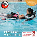 【ふるさと納税】 ダイビング 資格取得 海 PADI レスキュー ダイバー コース 3日間 ライセンス保持者 アウトドア スポーツ 海 アクティビティ マリンスポーツ レジャー 静岡 伊豆 下田 ドラゴンレディ