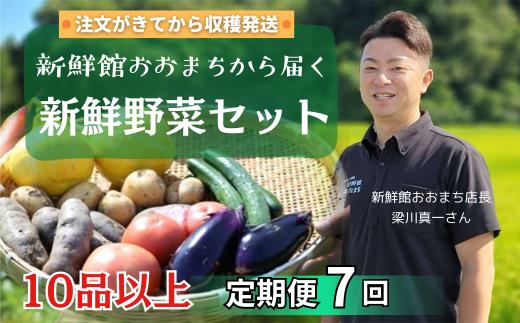 【定期便7回】注文が来てから収穫発送！収穫したばかりの新鮮野菜セット 《10品以上保証》 季節のお野菜 おまかせ お楽しみ 獲れたて産地直送 旬 春野菜 ベジタブル ヘルシー 健康 詰め合わせ 一関市