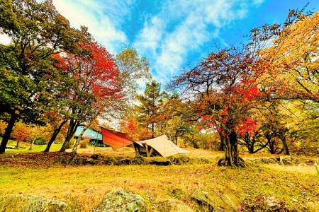 駒出池キャンプ場　施設使用料補助券15枚セット　30,000円分［AD-111-03］