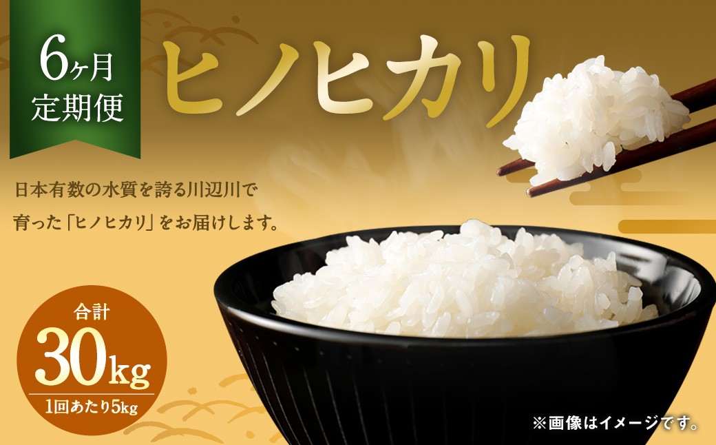 
            【6ヶ月定期便】相良村産 ヒノヒカリ 5kg お米 白米
          