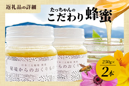 標高800m たっちゃんのこだわり蜂蜜【250g×2本】送料無料 宮崎県 椎葉村 秘境 蜂蜜 はちみつ ハチミツ みつばち ミツバチ 伝統的 養蜂 国産 天然 百花蜜 巣箱 数量限定 季節 希少 25