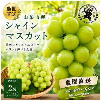 山賊ぶどう シャインマスカット 2房(約1キロ)【配送不可地域：離島】