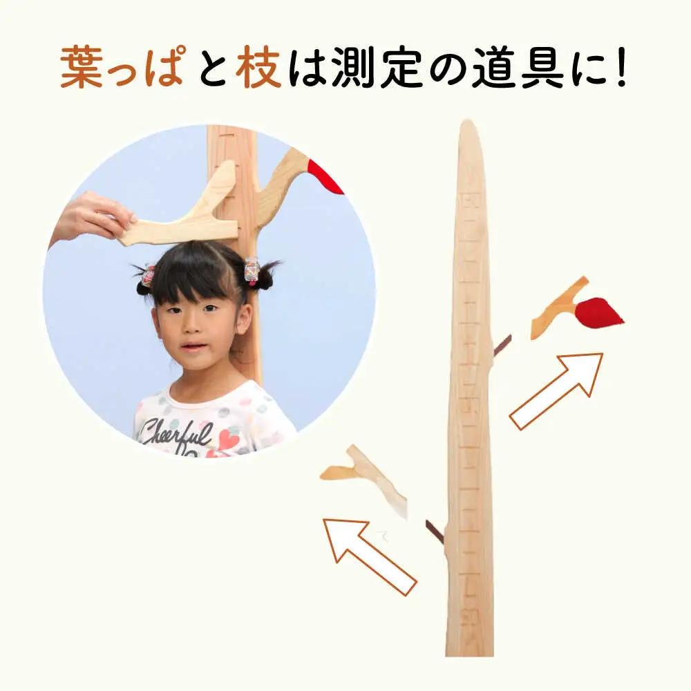 ひのき 身長計[AQBH007] 身長計
