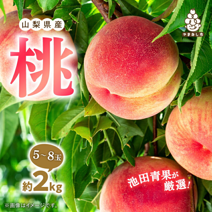 【ふるさと納税】【2025年先行予約】桃 約2kg (5玉~8玉) 厳選 ! 池田青果の もも_ ふるさと納税 ふるさと モモ フルーツ 果物 くだもの 山梨県 山梨市 山梨 人気 送料無料【配送不可地域：離島・沖縄県】【1280520】