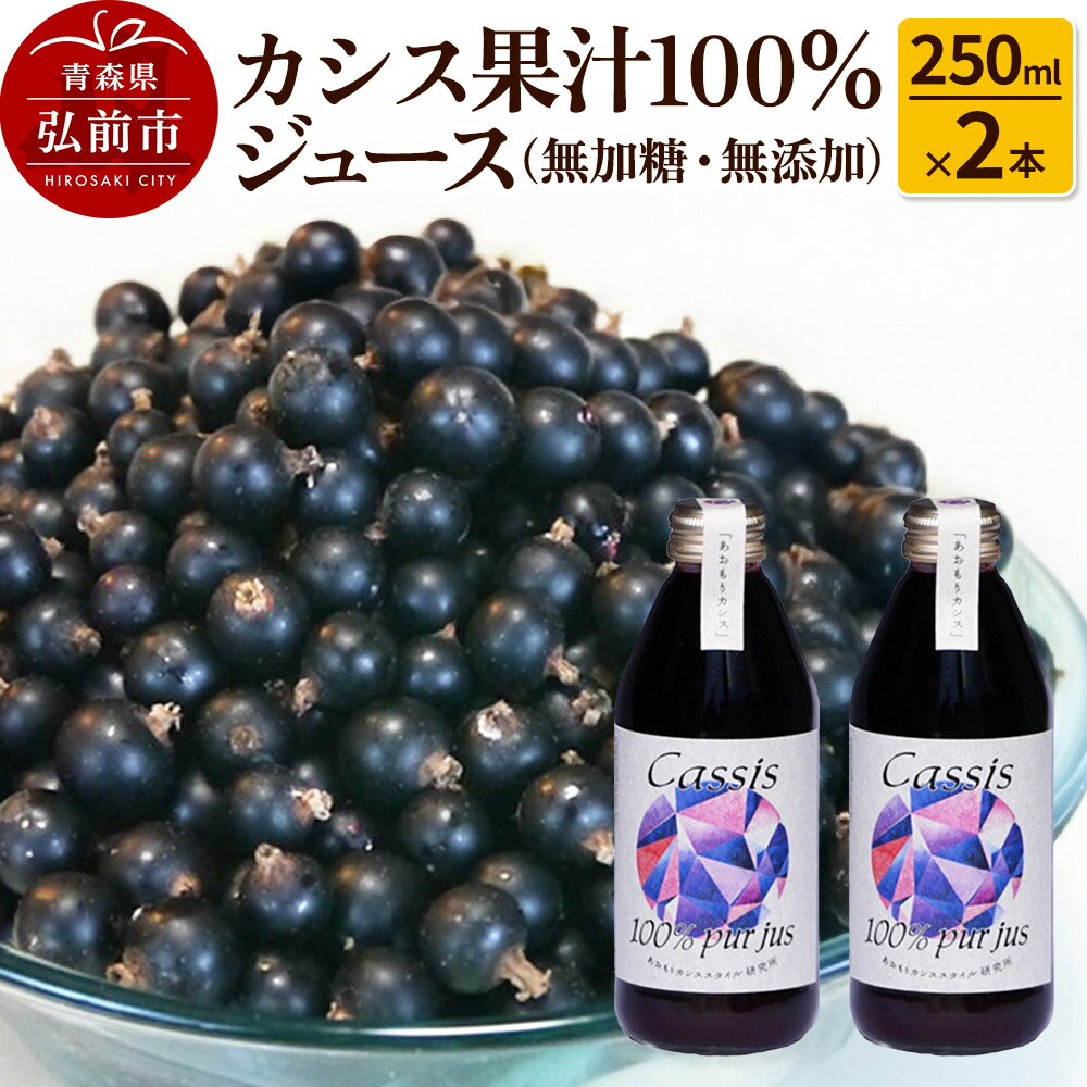 【ふるさと納税】カシス果汁100％ジュース（無加糖・無添加）250ml×2本【果汁飲料】 [おいしい ジュース フルーツジュース 飲料 果汁 果汁100％ 果物 美味]