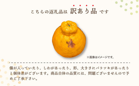 先行予約 不知火 あーちゃん家の不知火 訳あり 10kg 約40〜50玉前後【2027年4月上旬-5月下旬発送予定】