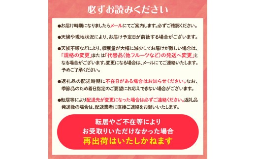 《先行受付》小玉スイカ ひとりじめ 約5kg【2026年7月上旬頃～順次発送予定】【山形県産 西瓜】