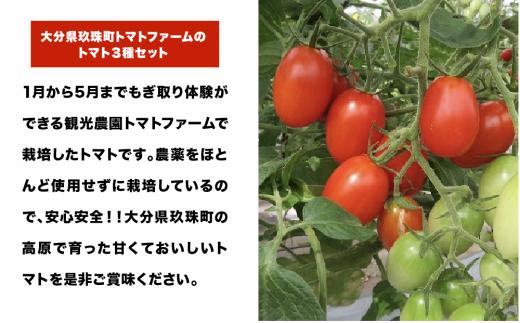 トマト3種セット （観光農園トマトファーム） 大分県 玖珠