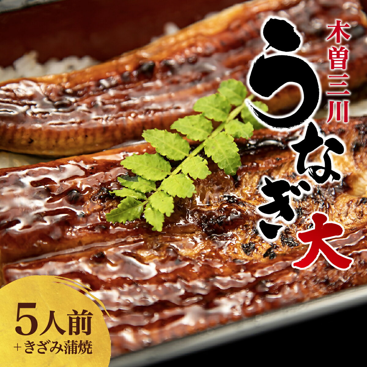 【ふるさと納税】 王鉄興業　木曽三川うなぎ大5人前＋きざみ蒲焼（ba07）