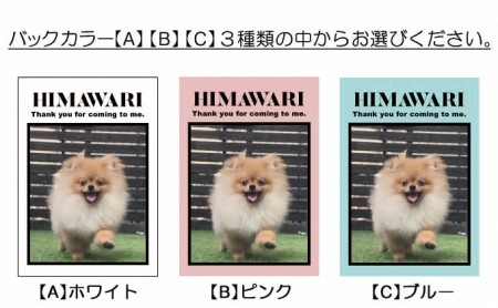 ペットの可愛いお写真をキーホルダーに♪うちの子アクリルキーホルダー（デザインB） 【A】ホワイト