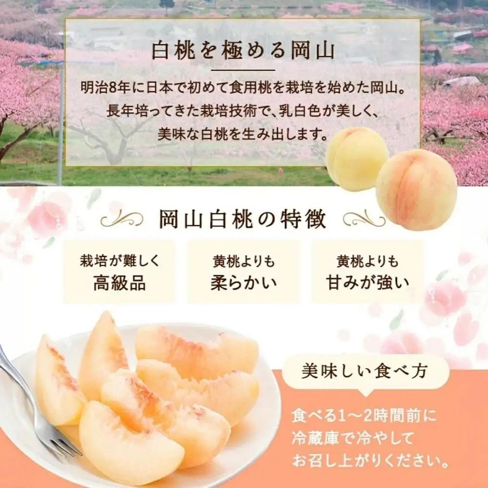 岡山白桃2玉（約500ｇ）＆シャインマスカット晴王1房（約500ｇ）化粧箱入