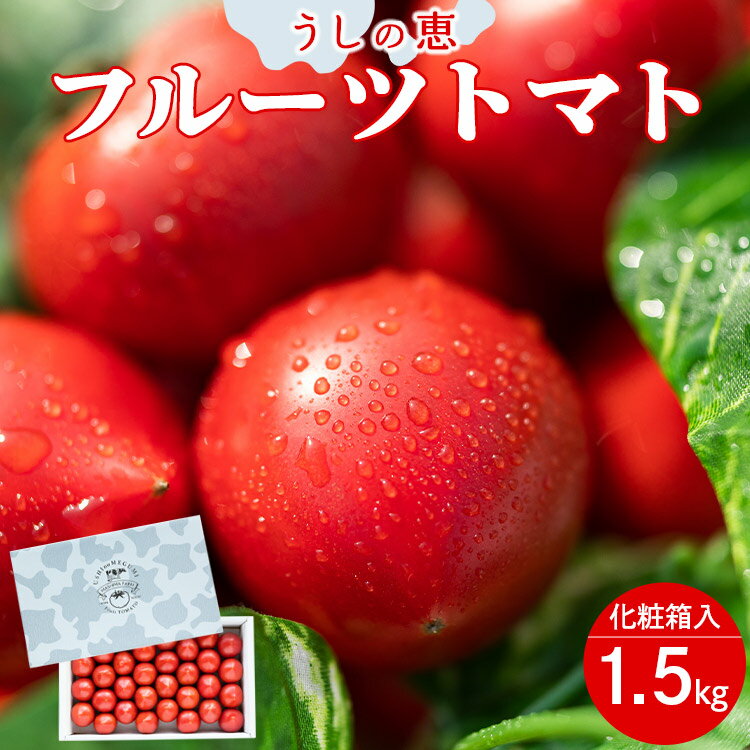 【ふるさと納税】【数量限定】うしの恵 フルーツトマト 化粧箱入り 約1.5kg - 野菜 とまと 産地直送 2026年発送 料理 アレンジ サラダ 鍋 サンドイッチ 完熟 甘い あまい フレッシュ さっぱり 酸味 ギフト 贈答 お礼 御礼 おいしい 国産 高知県 香南市【常温】