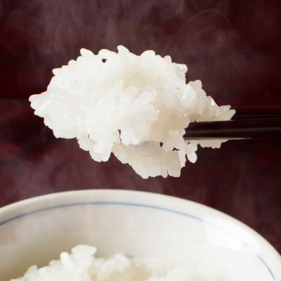 ふるさと納税 南魚沼市 【令和6年産】【高級】南魚沼しおざわ産こしひかり3kg(精米)×2袋 |  | 01