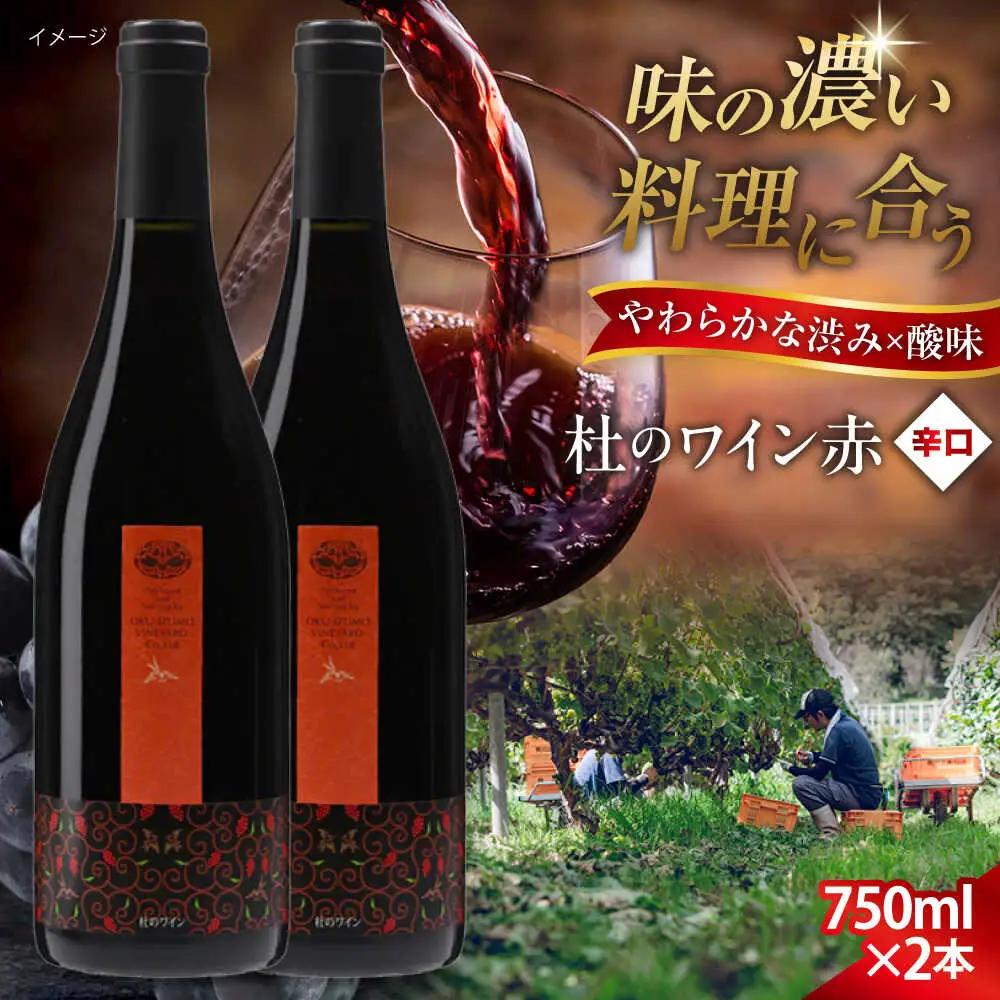 杜のワイン赤 2本セット 奥出雲葡萄園 [AICS060]