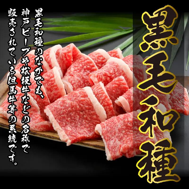 若狭牛 切り落とし 550g [A-012003]