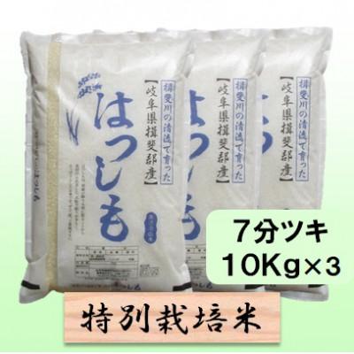 ふるさと納税 池田町 【令和7年産】特別栽培米 30kg【7分ツキ】(ハツシモ)