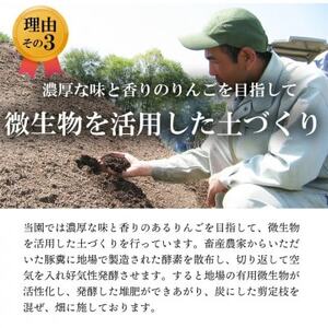 【南信州あじさい農園】葉とらずりんご(グラニースミス)約15kg【1593255】