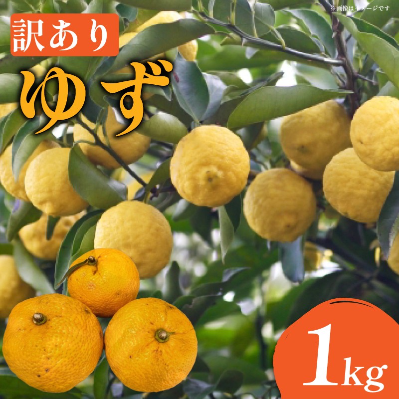 
            訳あり ゆず 1kg 家庭用 11月発送 栽培期間中 農薬不使用 柚子 旬 果実 果汁 みかん 柑橘 フルーツ 酸味 すっぱい 徳島 人気 オススメ お取り寄せ グルメ ハイボール 焼酎 ビール からあげ さんま 刺身 魚 天ぷら 送料無料 徳島県 吉野川市
          