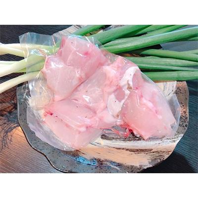 ふるさと納税 南国市 生クエ天然直送【800g】 |  | 03